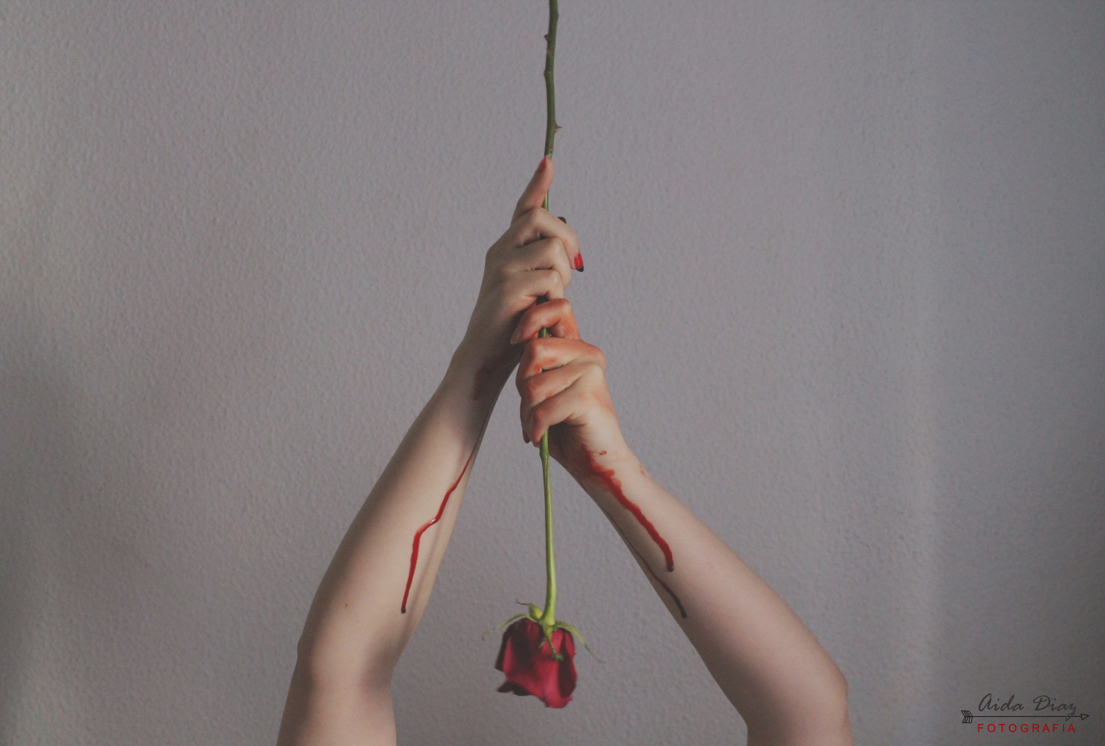 krev, růže, kloub, květ, ruka, prst, lano, rosa, originál, skvělý, nemovitý, paže, flor, santjordi, zpíval, sangre, Sadistický, Sadico, Dayamondd