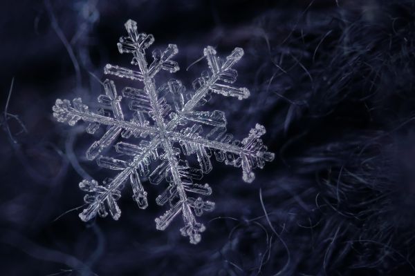 macro,realmacro,snow,snowflake,flocondeneige,white
