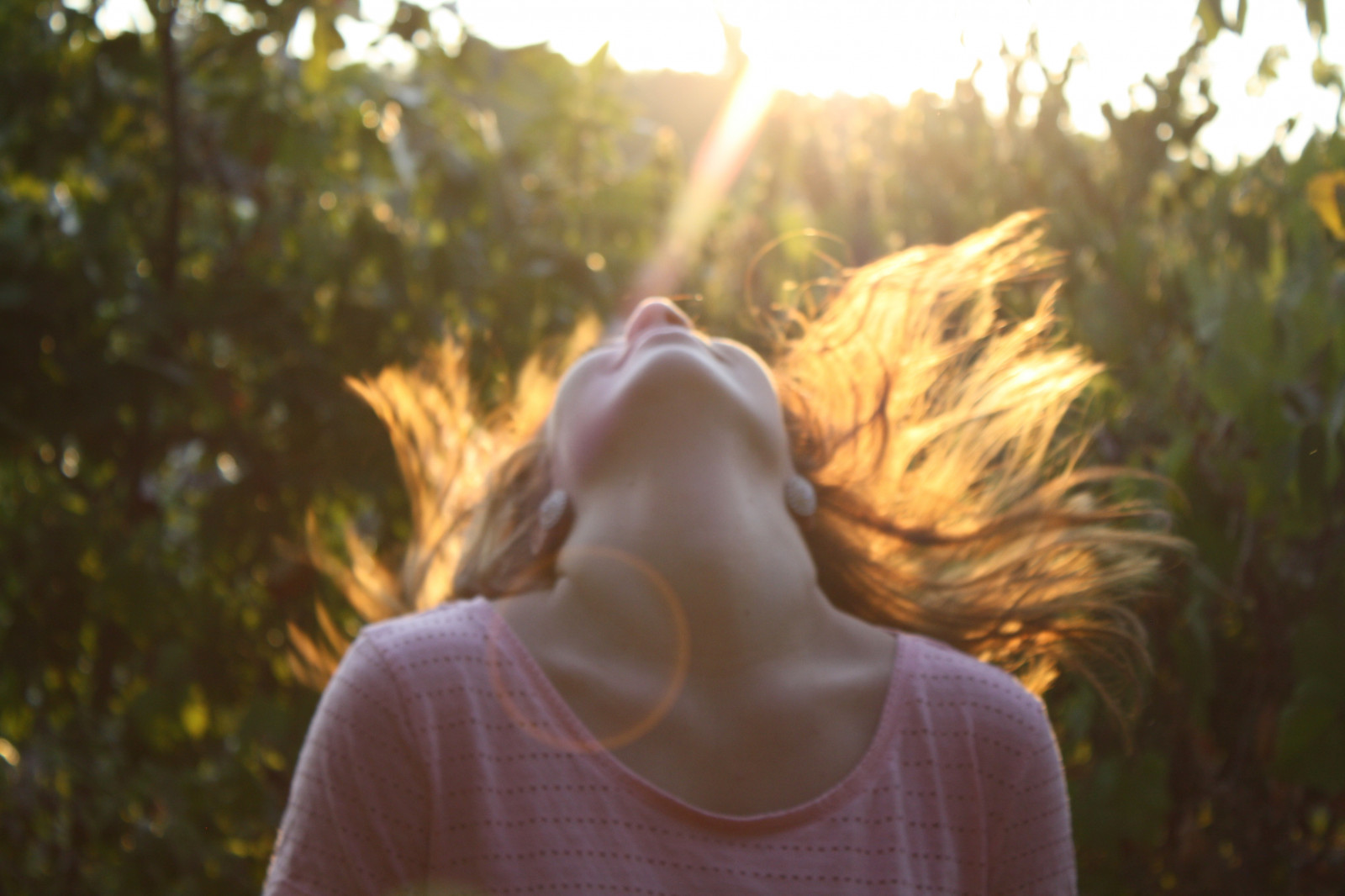 růžový, stromy, západ slunce, slunce, domů, Příroda, tráva, Sluneční svit, digitální, vlasy, les, Missouri