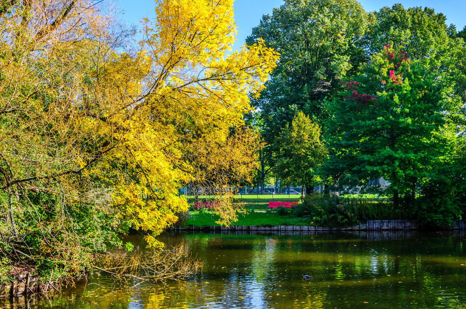 Wallpaper autumn, Sun, Berlin, green, fall, water, colors, yellow