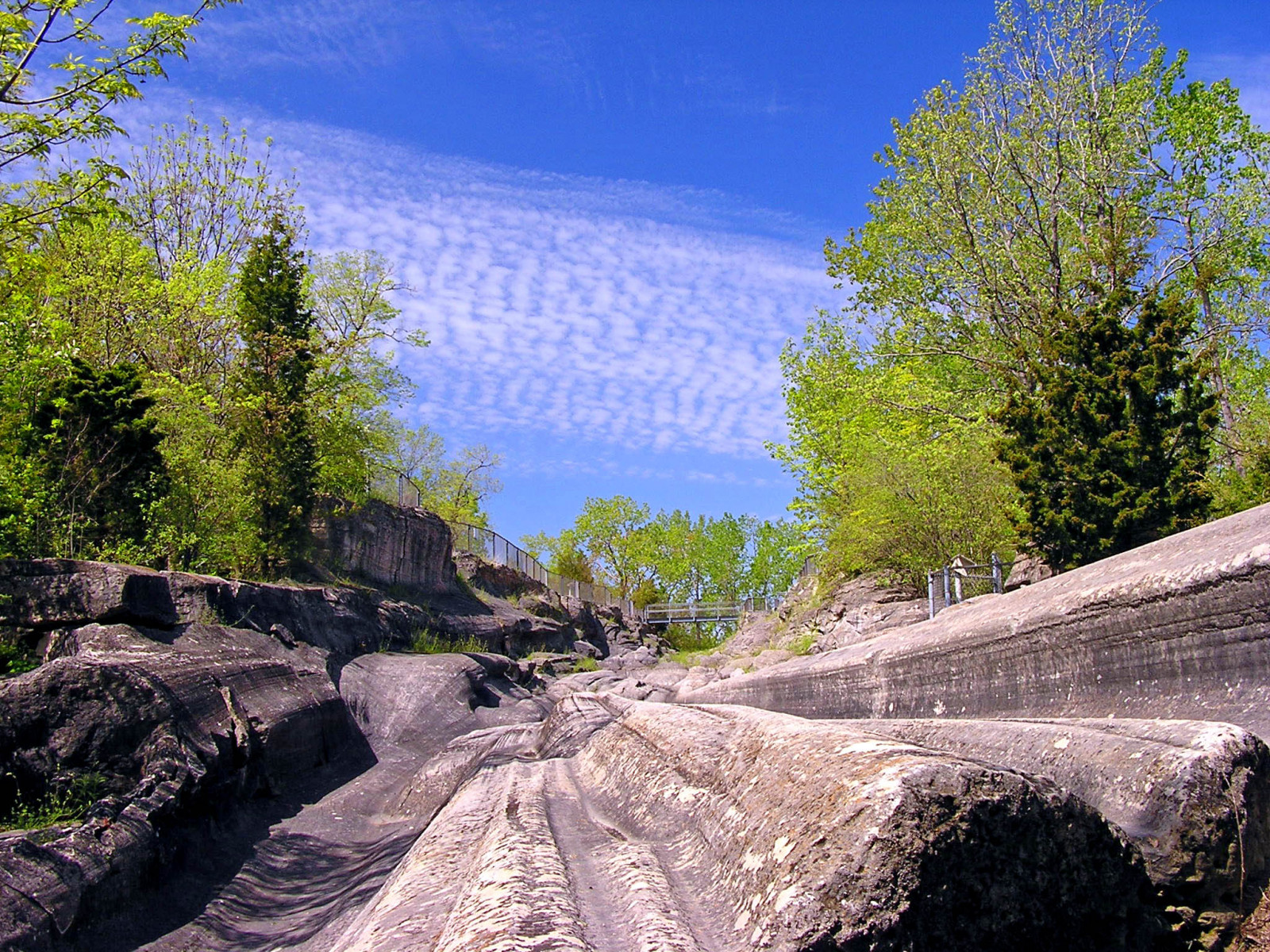 Bäume, Ohio, Himmel, Rock, Stein, Wolken, Muster, Grooves, Geologie, Cloudformation, Felsformation, geologisch, Kelleysisland, Glazialrillen