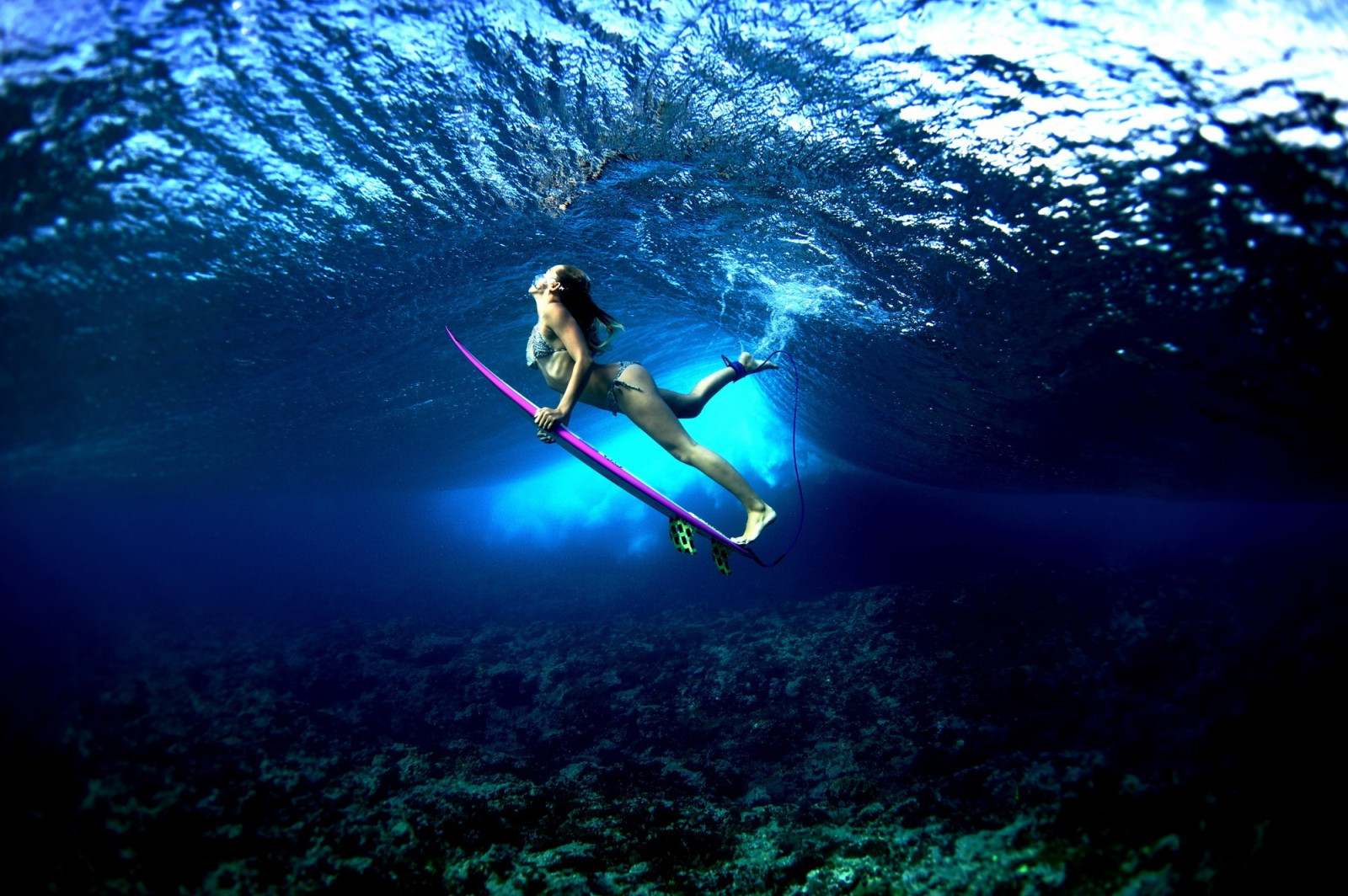 Hintergrundbilder : Sport, Frau, Wasser, Surfer, Tauchen, Freitauchen