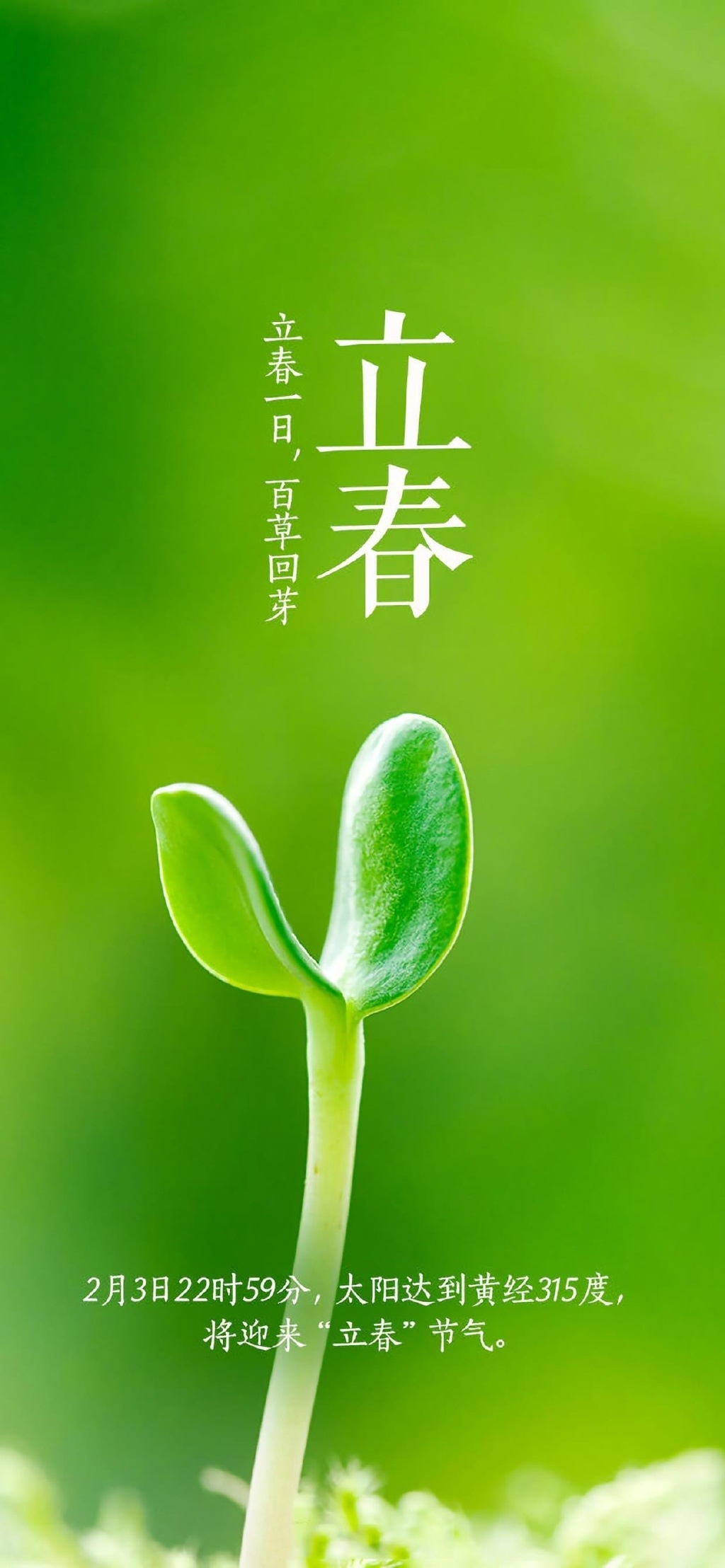 natură, lichun, vertical, sezoane, Chinese flag