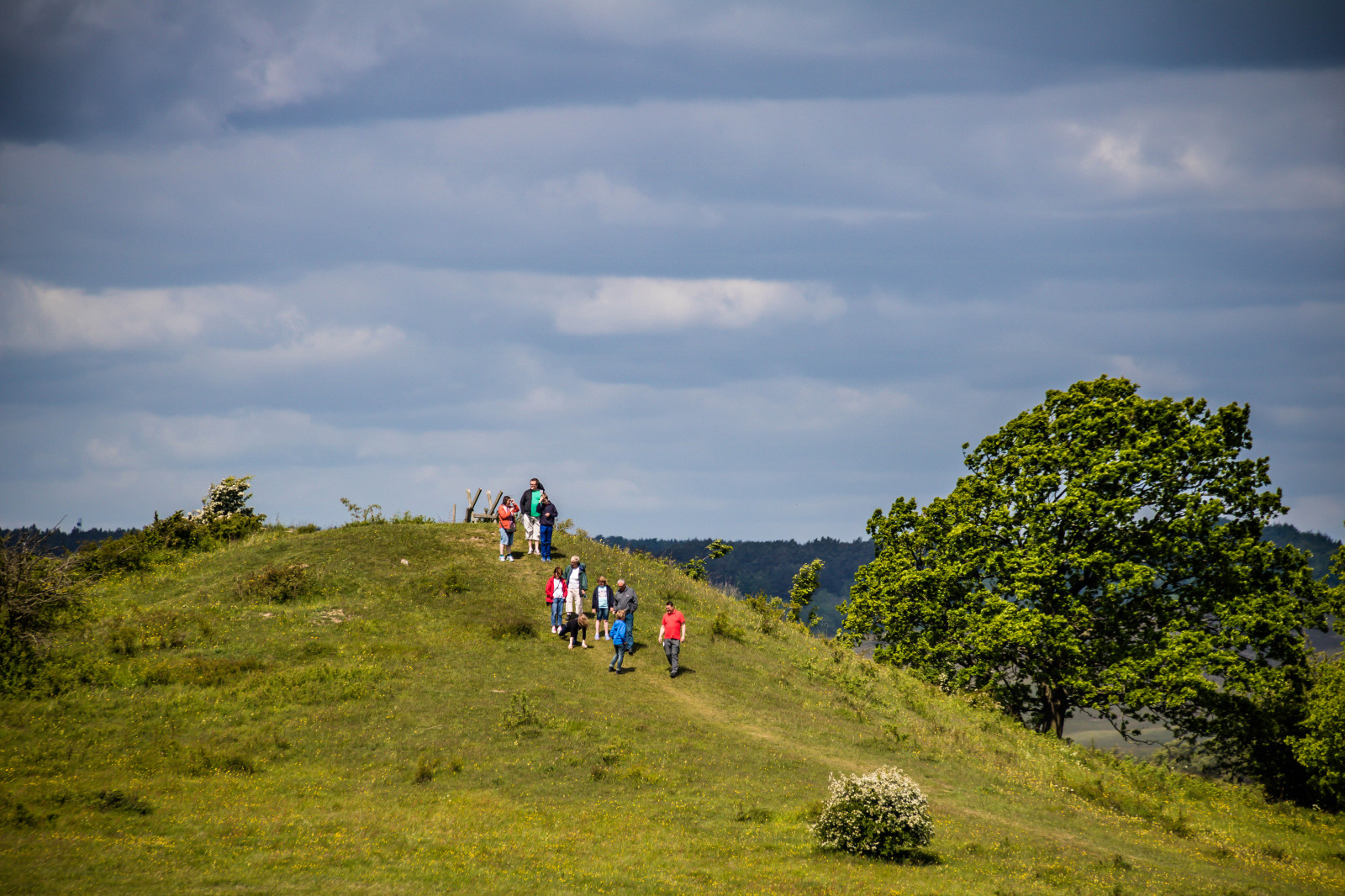 krajina, moře, kopec, Příroda, tráva, nebe, pole, zelená, pobřeží, útes, chůze, hřbet, Terén, mrak, strom, hora, sterlen, exif modelu canoneos760d, Kamera aby kánon, Model fotoaparátu canoneos760d, geolocation, EXIF čočka efs18200mmf3556is, exif focallength 200mm, exif aby kánon, EXIF isospeed 100, EXIF otvor 71, gr n, br sarpsbackar, Kulle, br Sarp, louka, dobrodružství, venkov, horských reliéf, geografický rys, pohoří