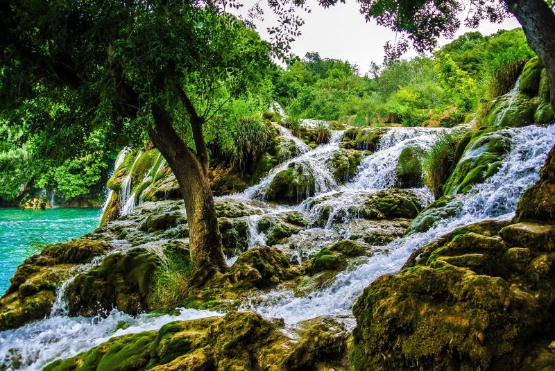 trees, landscape, forest, waterfall, water, rock trees, landscape, forest, waterfall, water, rock