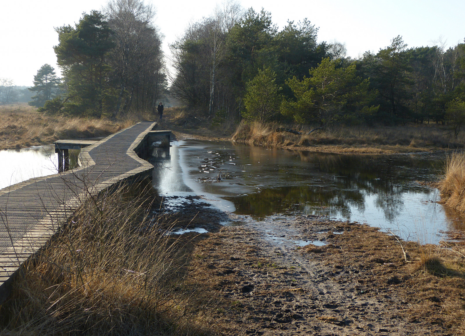 voda, tělo z vody, vodní, vodní zdroje, řeka, banka, vodní tok, mokřadní, zátoka, strom, vodní prvek, nádrž, lužní, krajina