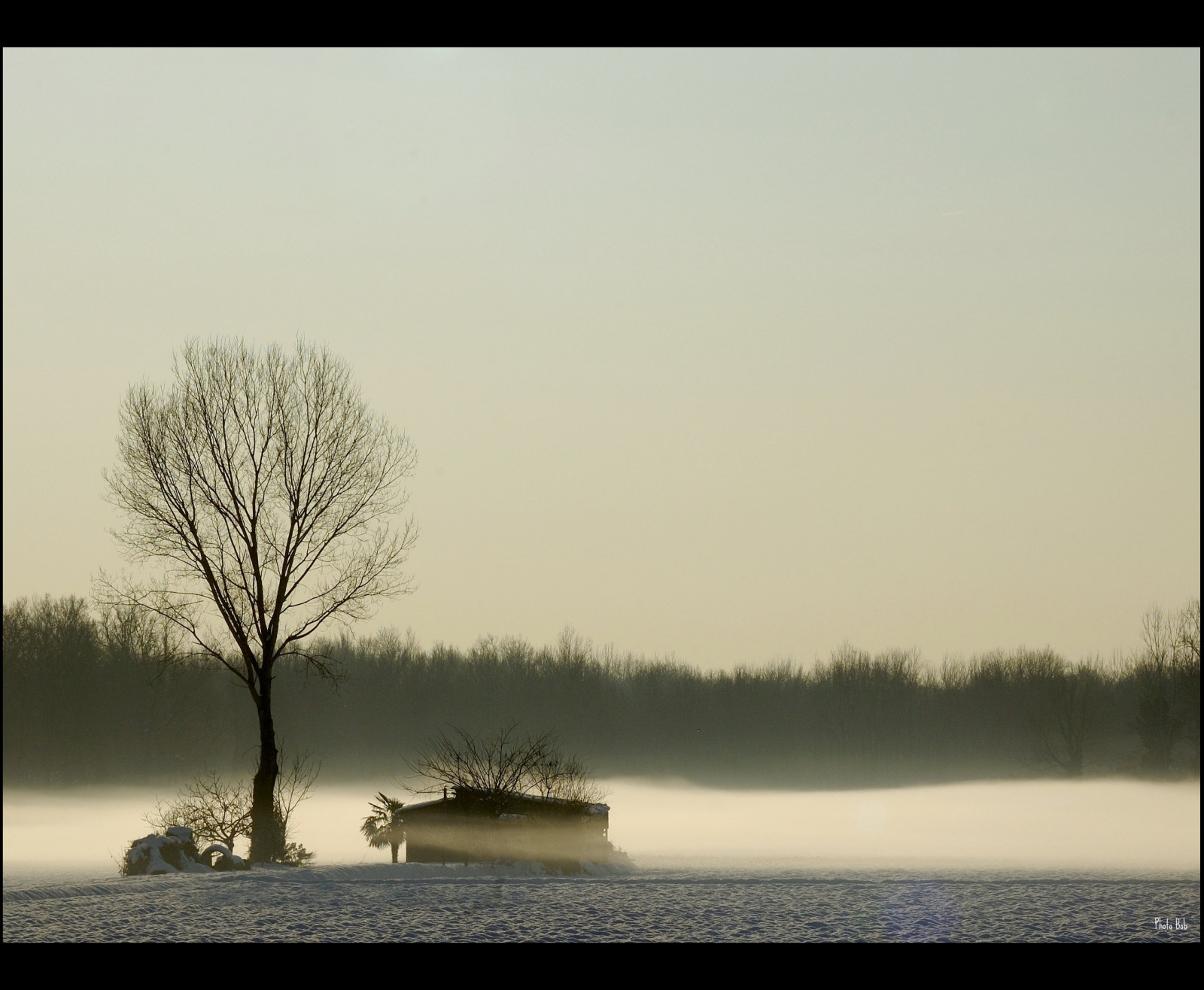 krajina, západ slunce, jezero, odraz, sníh, zima, svítání, večer, ráno, mlha, horizont, soumrak, opar, mrak, strom, mlha, počasí, svítání, abigfave, natura, inverno, Nebbia, platinumheartaward, Soe, natureselegantshots, thebestofmimamorsgroups, OTW, Paesaggi, overtheexcellence, betterthangood, blueribbonwinner, goldstaraward, rubyphotographer, citrit, supershot, paesaggio, alberi, multimegashot, parcoticino, parcodelticino, goldmedalwinner, flickrhappy, veterinarifotografi, atmosférický jev