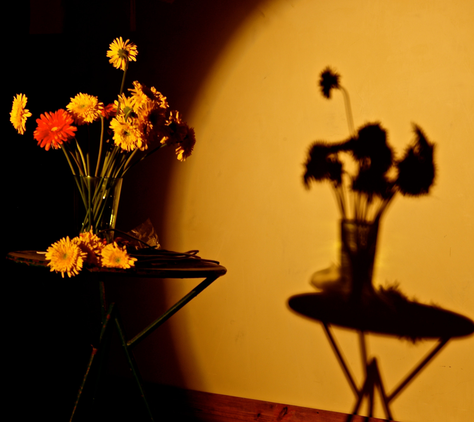 fiori, Portogallo, lightandshadows, Lisbona, sagome, CC, Creative Commons, santoamaro, Colorfoul