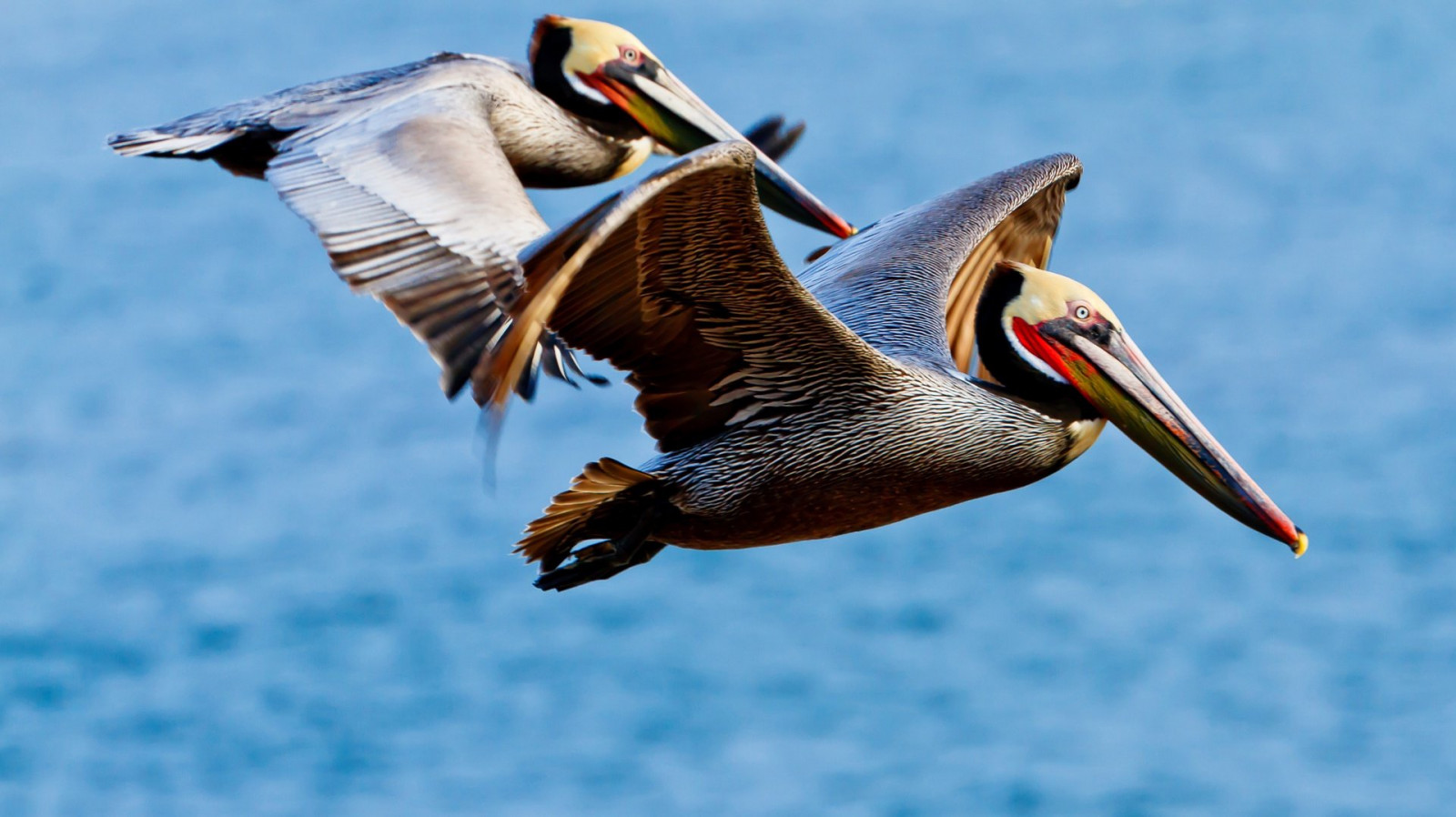 Wallpaper : 1920x1078 px, 495319 1920x1078 - wallbase - 1645977 - HD