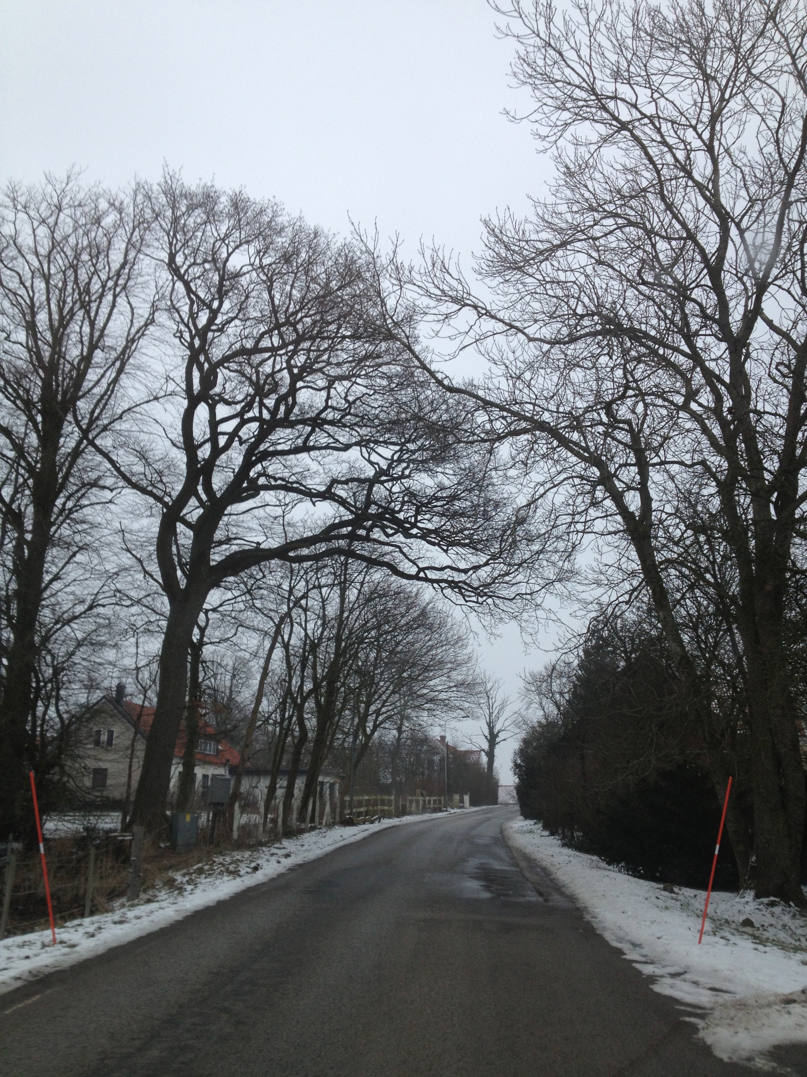 landscape, snow, winter, road, ice, morning, frost, Freezing, infrastructure, tree, weather, plant, season, countryside, soderslatt, lane, atmospheric phenomenon, woody plant