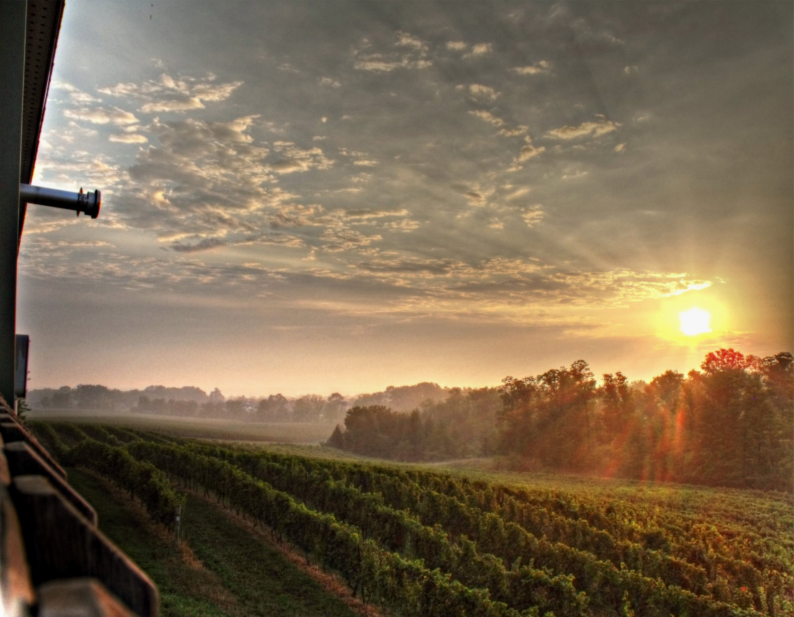 slunečnímu záření, krajina, západ slunce, kopec, Příroda, nebe, pole, mraky, svítání, Samsung, večer, ráno, slunce, HDR, horizont, Kanada, soumrak, Mistr, vinná réva, vinice, Ontario, lesklý, venkovský, tonemapping, světlo, mrak, strom, mlha, počasí, svítání, Niagara, Lincoln, daarklands, zemědělství, awardtree, trolledproud, heavensshots, tistheseason, Photomatix, netartii, pinnaclephotography, artdigital, Picnik, TQM, hypotetický, artisticphotos, newreality, maxfudge, samsungmaster, fujifilmfinepixs1500, exoticimage, paulboudreauphotography, bestofshining, shiningexcellence, netart, poeexcellence, trollieexcellence, venkov, atmosférický jev, Atmosféra Země, vinné sklepy, crazygeniuses, Beamsville, specialexoticaward, vrchní Polička, specialawardcrazygeniusesshots, lensflares, Alanis, morisette, úryvky