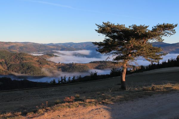 hills,mountains,trees,fog