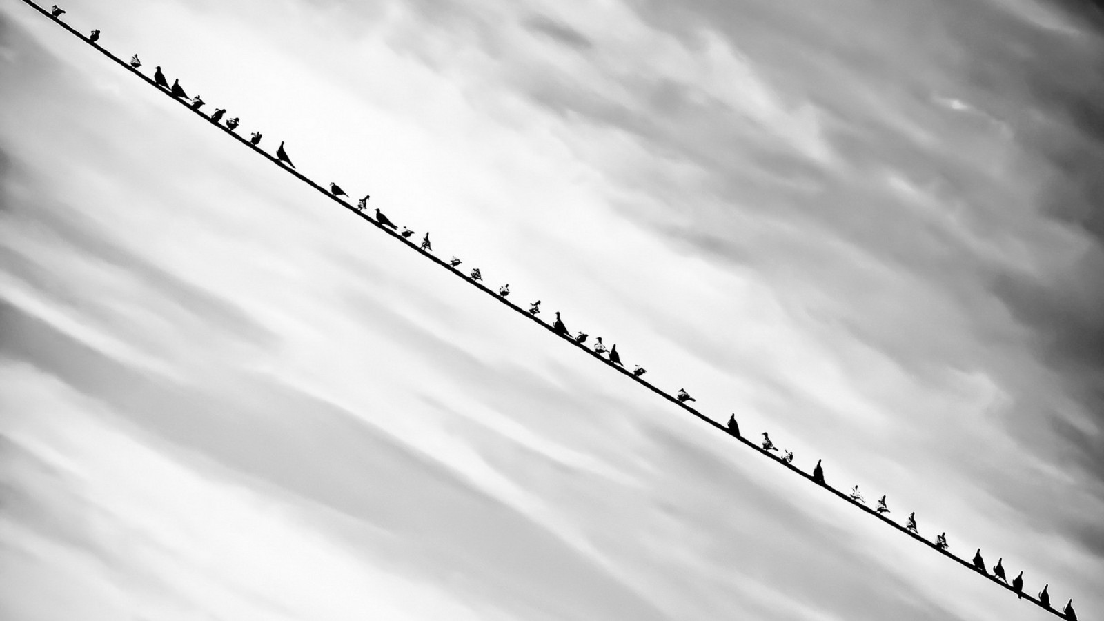 lumina soarelui, alb, negru, păsări, monocrom, natură, minimalismul, cer, zăpadă, nori, atmosfera, nor, vreme, formă, linia, 1920x1080 px, atmosfera pământului, alb-negru, Fotografie alb-negru, fenomen geologic, fenomen meteorologic
