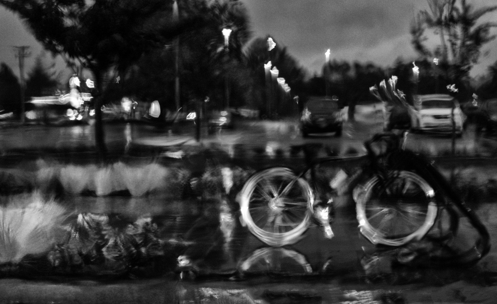 lys, efterår, hvid, sort, monokrom, gade, nat, abstrakt, bil, cykel, afspejling, køretøj, regn, fotografering, glas, våd, skumring, parkering, efterår, masse, vejr, bw, cykel, fotografi, mørke, sort og hvid, monokrom fotografering, film noir