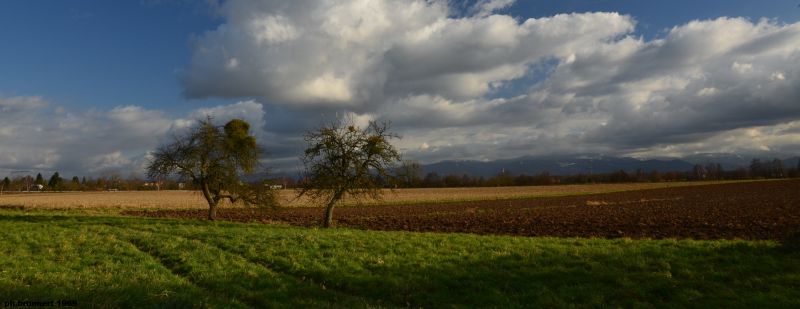 natuur,ngc,Paysage,nummer een,Nature1,Nature2
