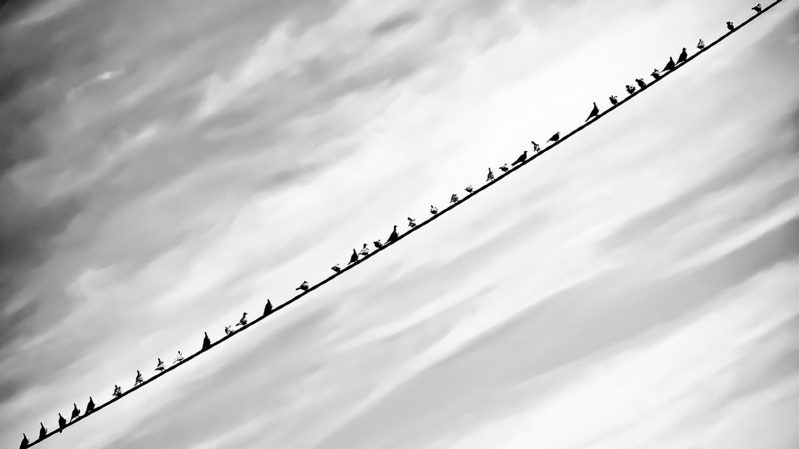 sollys, hvid, sort, fugle, monokrom, natur, minimalisme, himmel, sne, skyer, atmosfære, lys, Sky, bølge, form, linje, vinge, atmosfære af jord, sort og hvid, monokrom fotografering, tæt på, meteorologisk fænomen