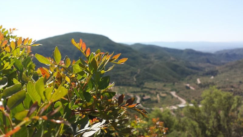 4128x2322 px, landscape, mountain, plants 4128x2322 px, landscape, mountain, plants