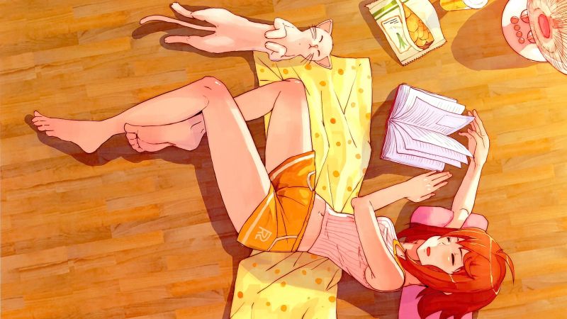 ilustrace, kočka, ryšavý, anime, anime dívky, spací ilustrace, kočka, ryšavý, anime, anime dívky, spací