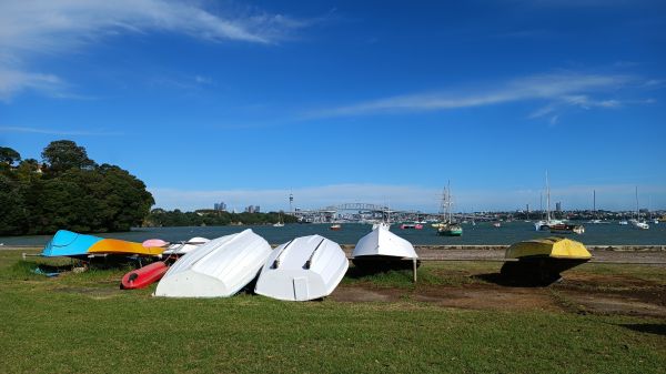 Auckland,Sea Cliff Bridge