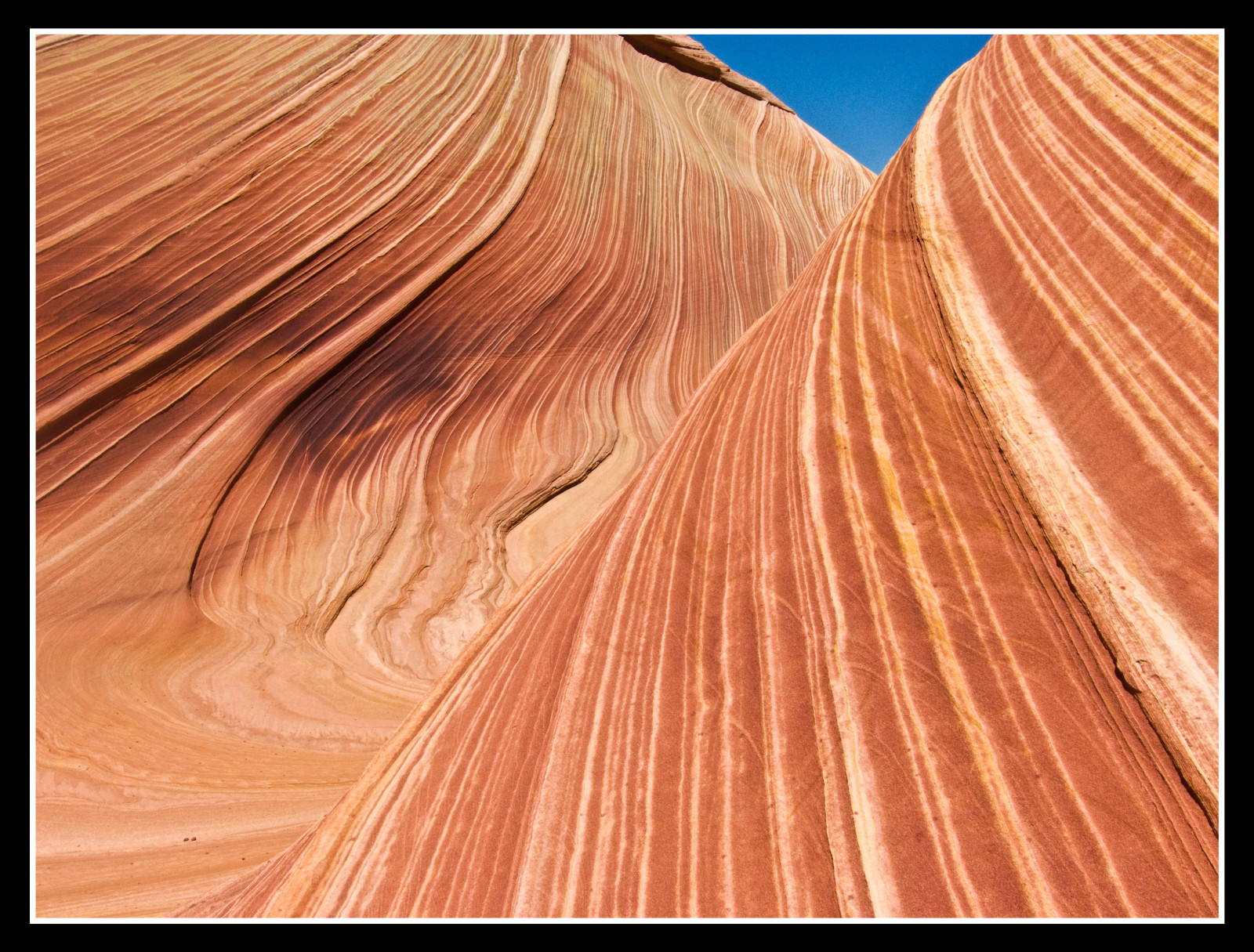 kojot, výlet, cestovat, modrý, Červené, Arizona, oranžový, Spojené státy americké, Dům, barva, Příroda, voda, Skála, Amerika, lumix, Utah, nás, drát, pískovec, Drsný, Spojené státy, poušť, složit, roadtrip, kaňon, túra, struktura, skály, Formace, údolí, strana, povolení, Severní Amerika, divočina, amerika, Kanab, jurský, Reise, Vermillion, vlna, buttes, trailhead, Paria, Nordamerika, mywinners, aplusphoto