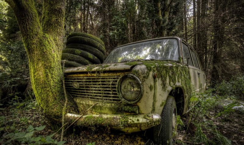 les, auto, vozidlo, vrak, veteránem, zálesí les, auto, vozidlo, vrak, veteránem, zálesí