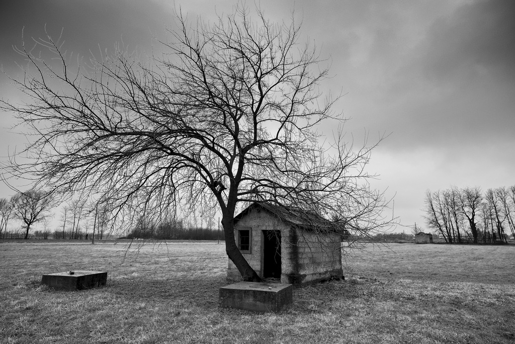 slunečnímu záření, krajina, bílý, Černá, černobílý, voda, opuštěný, nebe, sníh, zima, fotografování, dřevo, větev, ráno, mráz, atmosféra, zmrazení, neutrální, hustota, mrak, strom, rostlina, umlčet, Zeiss, carlzeiss, bianco, nero, alberi, ZF2, bigstopper, Černý a bílý, monochromatické fotografování, dřevina, meteorologický jev, zátiší fotografování, nd110, docela, nd106, milvus, milvus2821, Milvus2128zf, stock photography