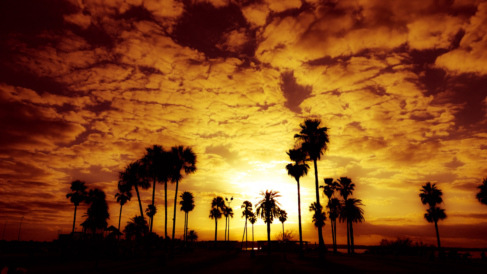 slunečnímu záření, krajina, západ slunce, nebe, silueta, svítání, večer, slunce, oranžový, horizont, atmosféra, soumrak, jantar, mrak, strom, svítání, dlaň, palmy, počítač tapeta, odlesk, červená obloha v dopoledních hodinách, arecales, meteorologický jev, palma