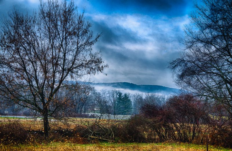 slunečnímu záření, krajina, les, Příroda, odraz, tráva slunečnímu záření, krajina, les, Příroda, odraz, tráva