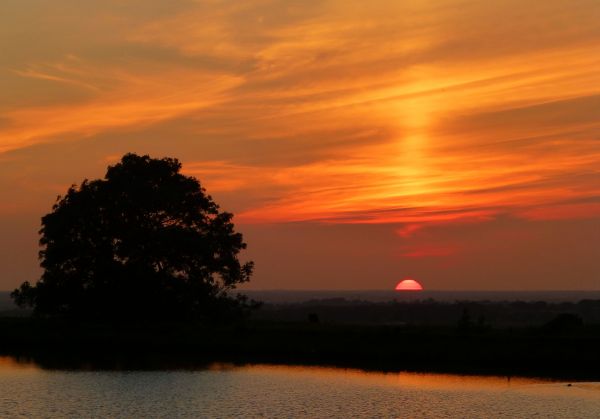 sunset,sky,water,summer,reflection,tree