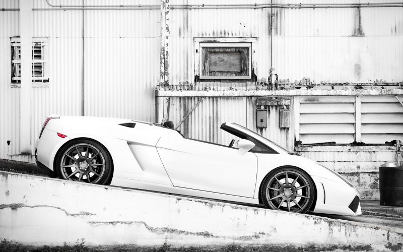 černobílý, auto, vozidlo, Lamborghini, sportovní auto, Lamborghini Gallardo černobílý, auto, vozidlo, Lamborghini, sportovní auto, Lamborghini Gallardo