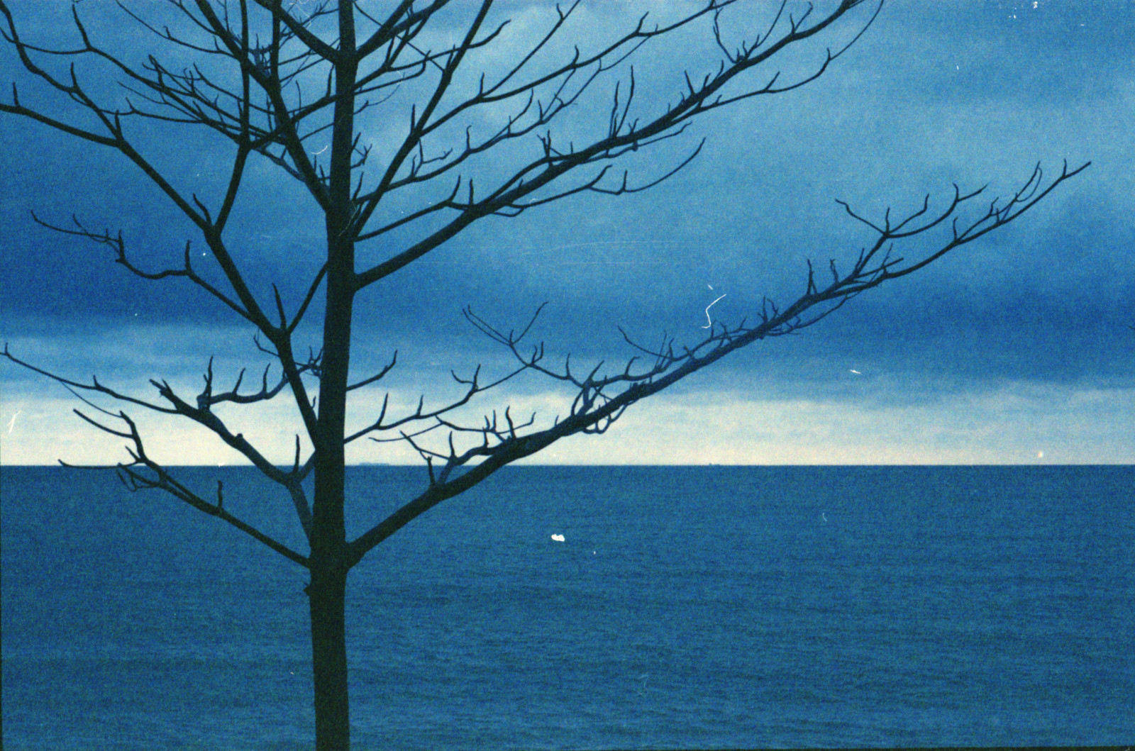 krajina, kontrast, moře, voda, Příroda, pobřeží, nebe, silueta, větev, uklidnit, modrý, horizont, atmosféra, Malajsie, 35MM, mrak, strom, oceán, analogový, film, analog, během dne, prošlý, sLR, větvička, počítač tapeta, kodakultramax800, Melaka, malacca, pentaxk1000, Kodakfilms, Analogslr, Smcpentaxm1250mm, Malakka, Toffeemaky