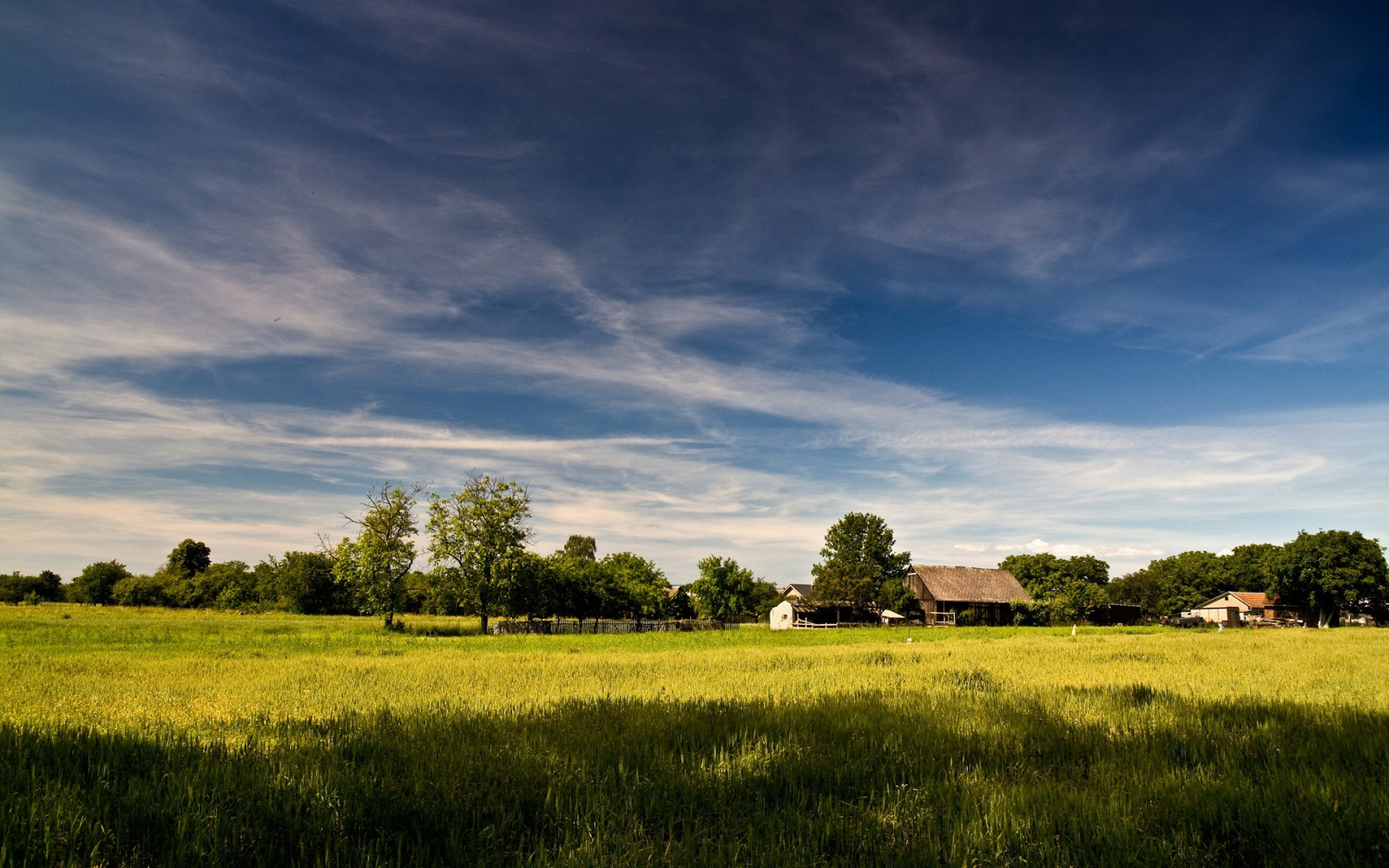 slunečnímu záření, stromy, krajina, západ slunce, kopec, Příroda, tráva, nebe, pole, Dům, ráno, horizont, soumrak, řepkového, mrak, strom, květ, lučina, rostlina, pastvina, zemědělství, louka, prostý, trávník, prérie, venkov, místo výskytu, přírodní prostředí, geografický rys, ekosystém, tráva rodina, savana