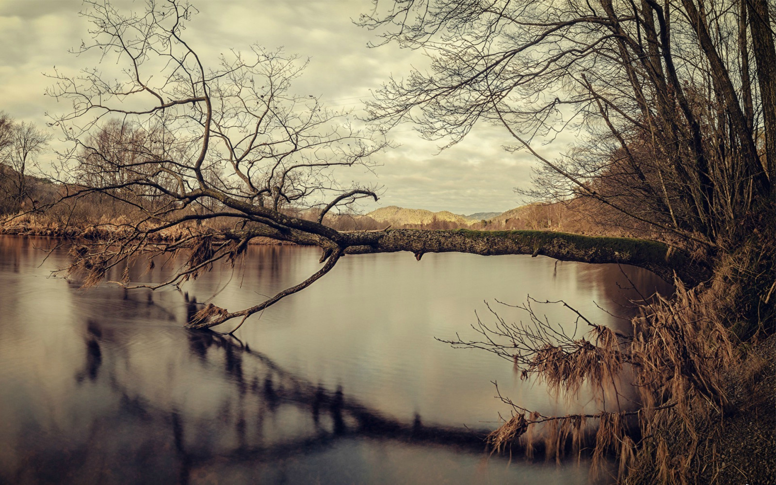 slunečnímu záření, krajina, jezero, voda, Příroda, odraz, tráva, nebe, zima, větev, večer, ráno, mlha, řeka, rybník, mokřadní, strom, podzim, list, květ, svítání, rostlina, sezóna, 1920x1200 px, zálesí, jezero, atmosférický jev, dřevina, tělo z vody