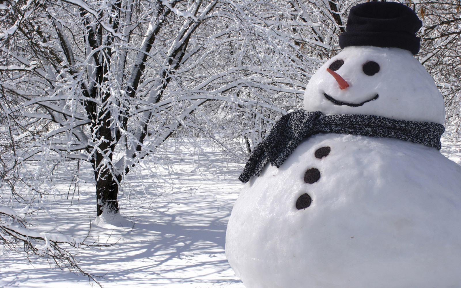 Wallpaper : white, snow, winter, snowman, Freezing, weather, season ...