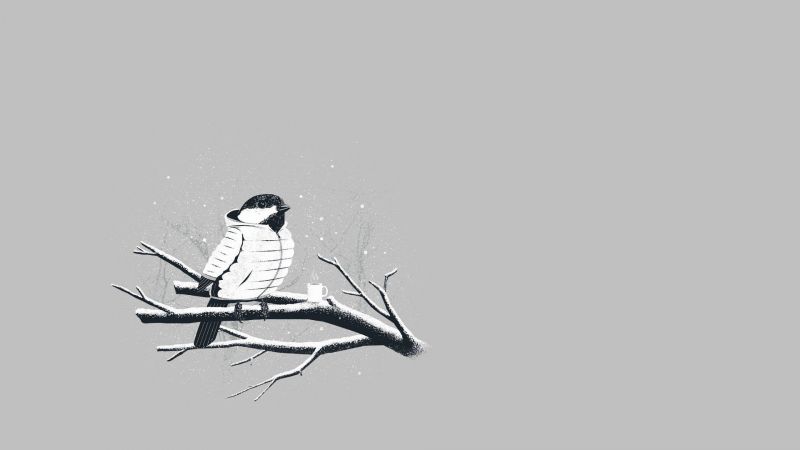 výkres, ilustrace, ptactvo, minimalismus, bunda, pták výkres, ilustrace, ptactvo, minimalismus, bunda, pták