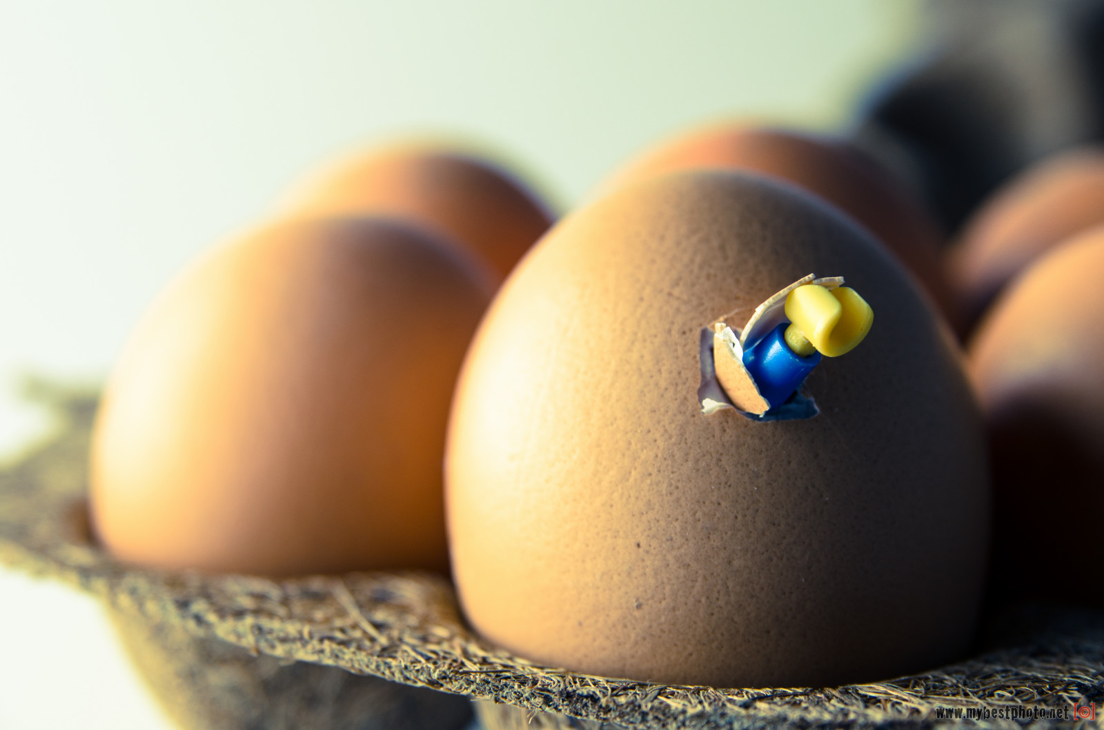 LEGO, kalhoty, 7, 12, 4, 9, 1, 5, 10, můj, vejce, film, 3, 6, série, tapeta na zeď, chlap, 8, 2, 11, minifigure, kde, zblízka, makro fotografie, 13, jsou