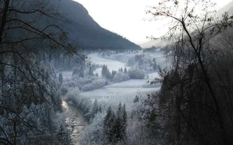 trees, landscape, forest, mountains, nature, snow trees, landscape, forest, mountains, nature, snow