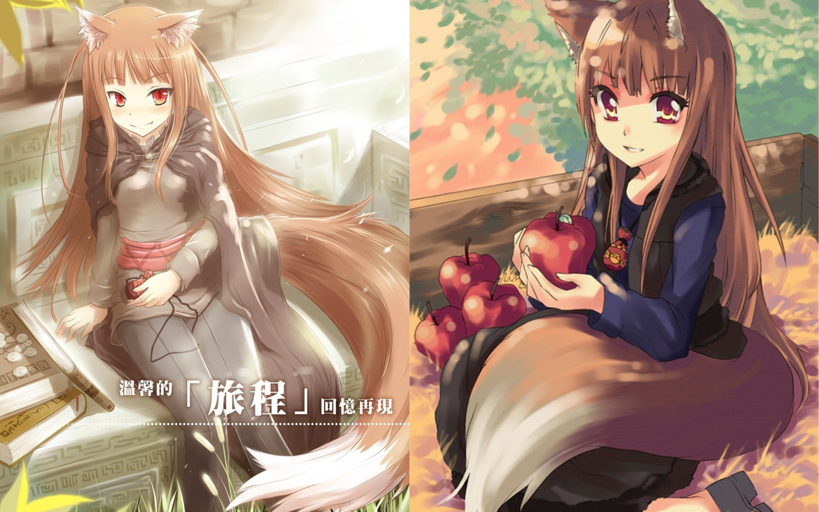 illustrazione, anime, cartone animato, Holo, Spice and Wolf, i fumetti, immagine dello schermo, mangaka