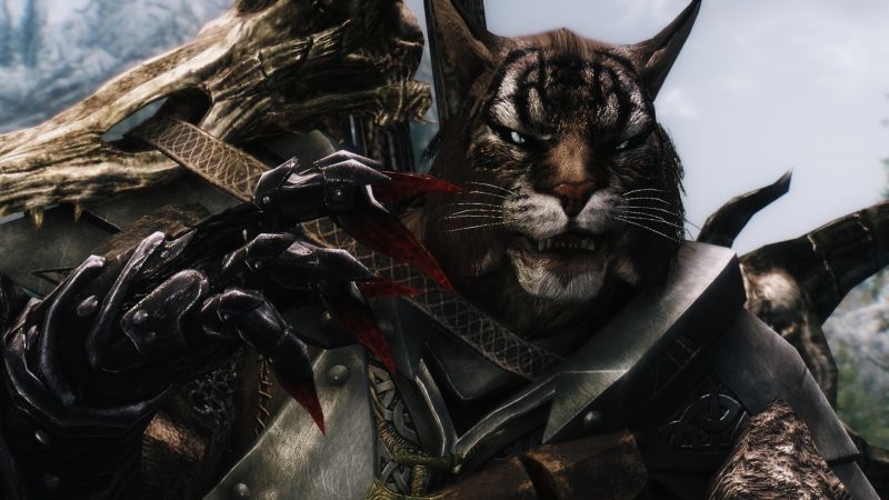 umělecká díla, krev, The Elder Scrolls V Skyrim, Khajiit, mytologie, Snímek obrazovky umělecká díla, krev, The Elder Scrolls V Skyrim, Khajiit, mytologie, Snímek obrazovky