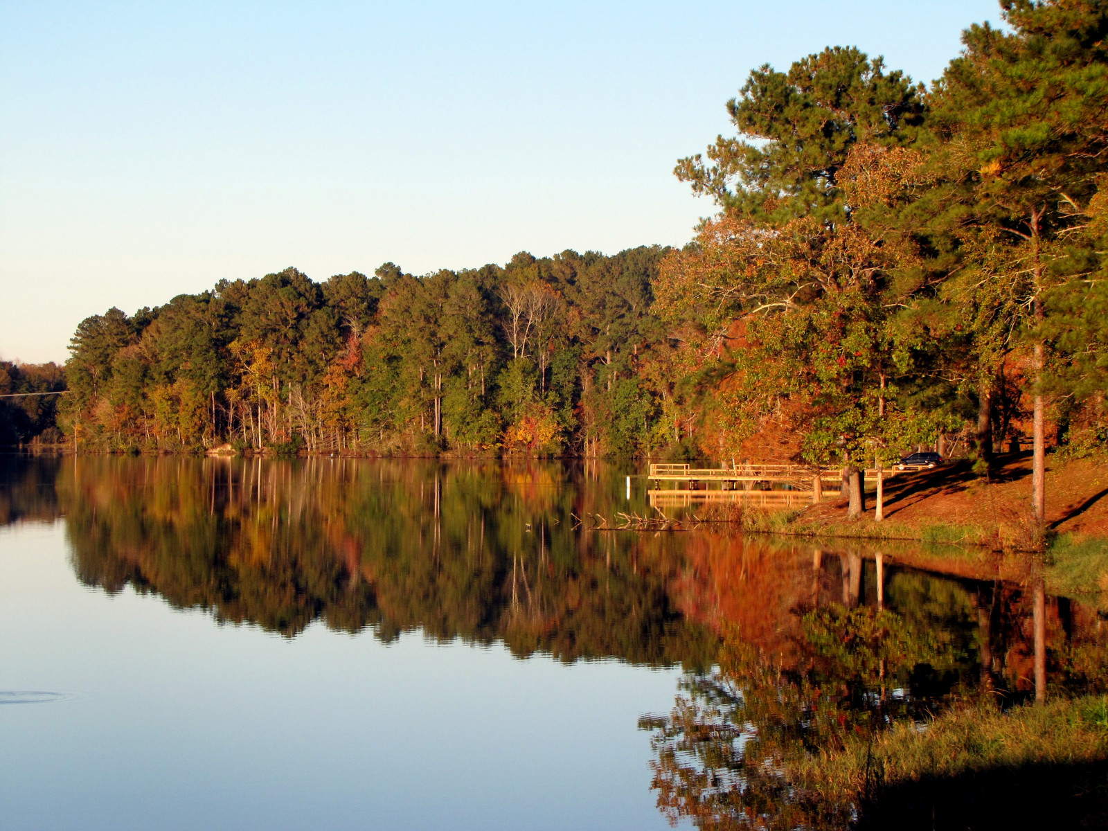 alberi, paesaggio, lago, acqua, natura, riflessione, mattina, fiume, natura selvaggia, albero, autunno, foglia, stagione, pianta legnosa