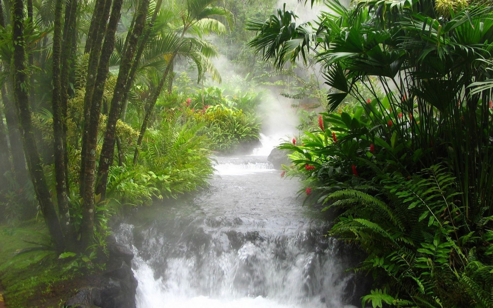pemandangan, hutan, air terjun, alam, sungai, rimba, aliran, hutan hujan, anak sungai, tumbuh-tumbuhan, tropis, daerah berhutan, habitat, lingkungan alami, fenomena atmosfer, botani, ekosistem, badan air, hutan pertumbuhan tua, fitur air