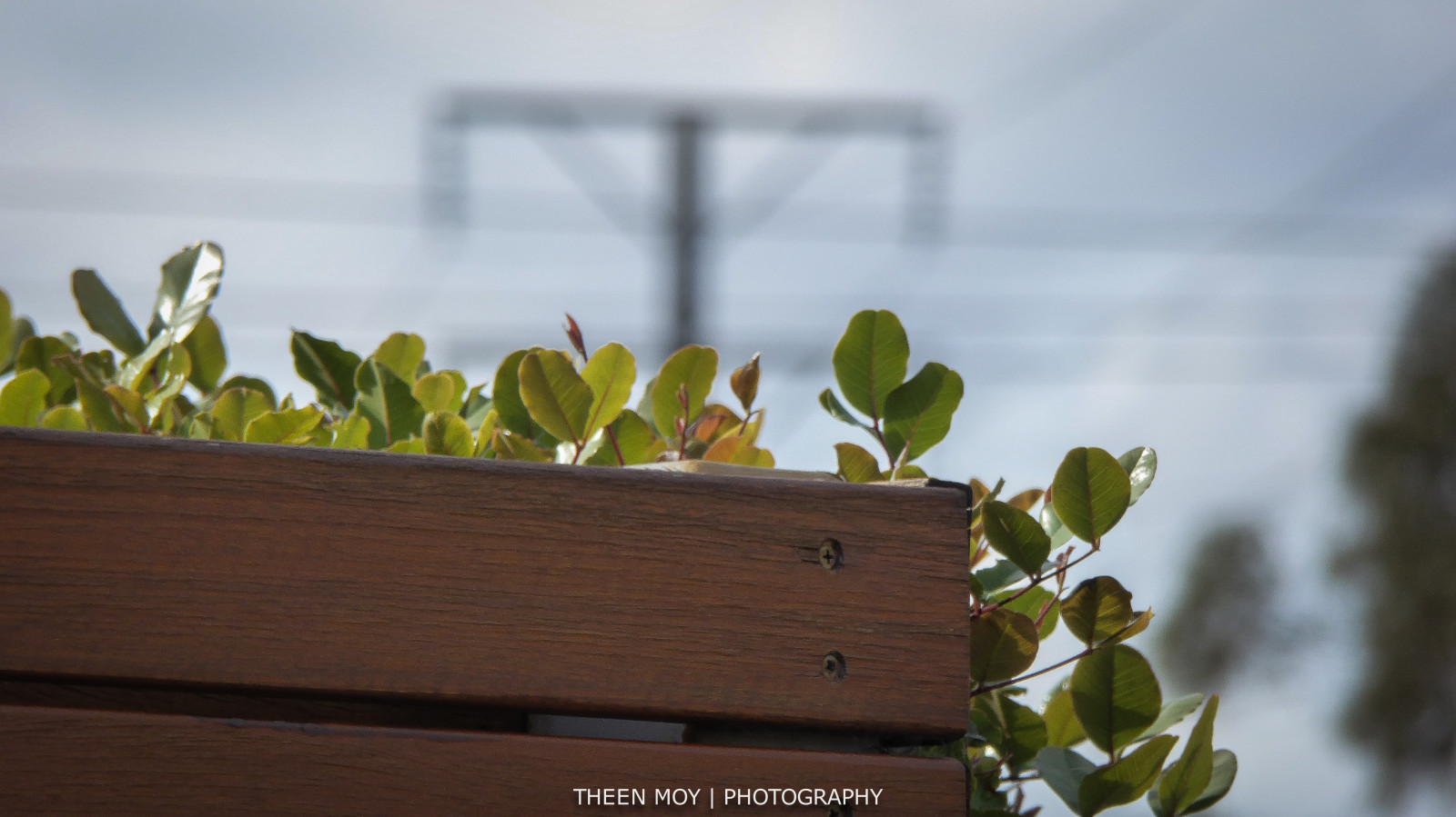 Wallpaper : blue, trees, sky, green, lines, fence, garden, lumix
