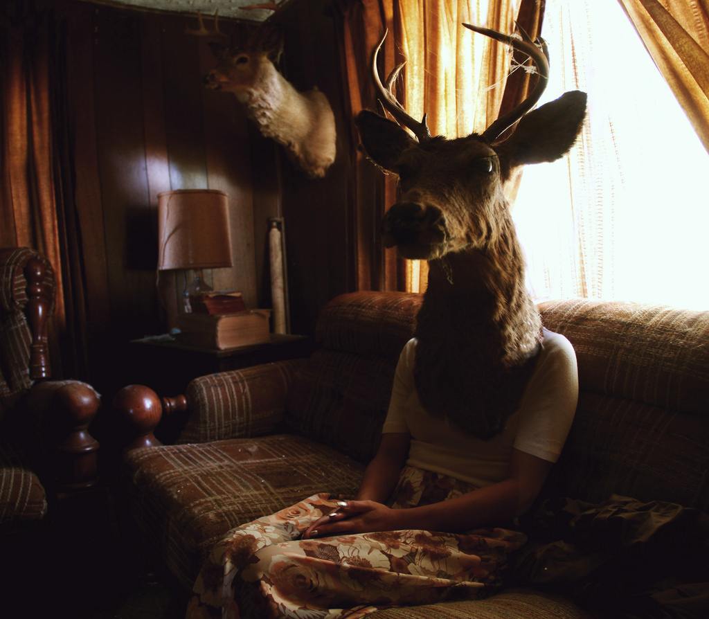 portrét, oranžový, hnědý, Dům, opuštěný, dívka, sedící, hlava, Jelen, gauč, 365