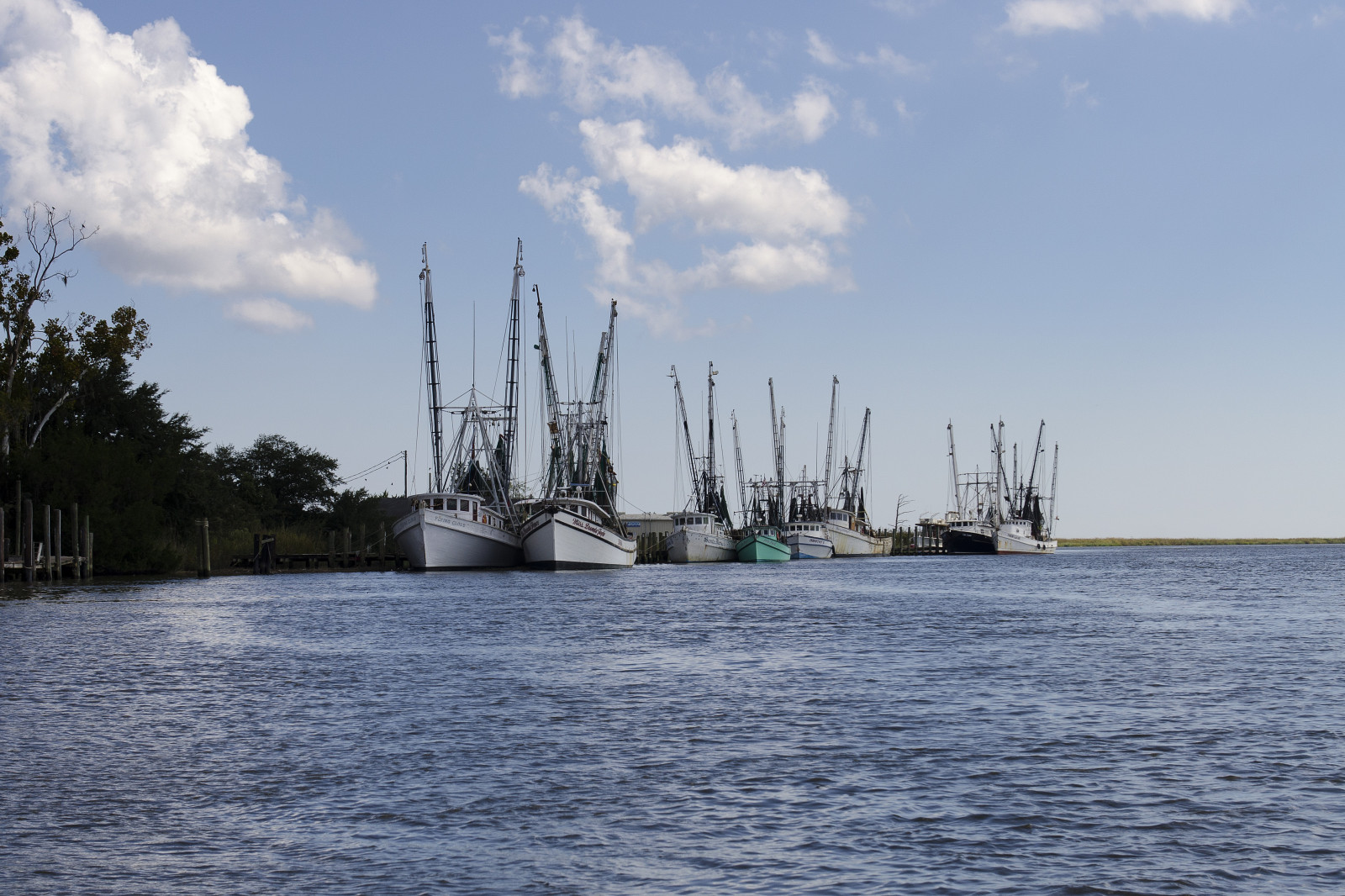 krajina, loď, loď, plachetnice, moře, záliv, voda, nebe, venku, uklidnit, modrý, pobřeží, řeka, přístav, Spojené státy americké, Slunný, dok, doprava, Georgia, práce, rybolov, nízký, Flotila, atlantický, země, mrak, den, oceán, mořský, lodě, přístav, přístav, nás, plavidlo, kanál, stožár, barque, jižní, výroba, pobřežní, vodní, vysoká loď, rybářské plavidlo, dechař, cévy, zakotvila, Brunswick, wouth, školní loď, Olgethorpe