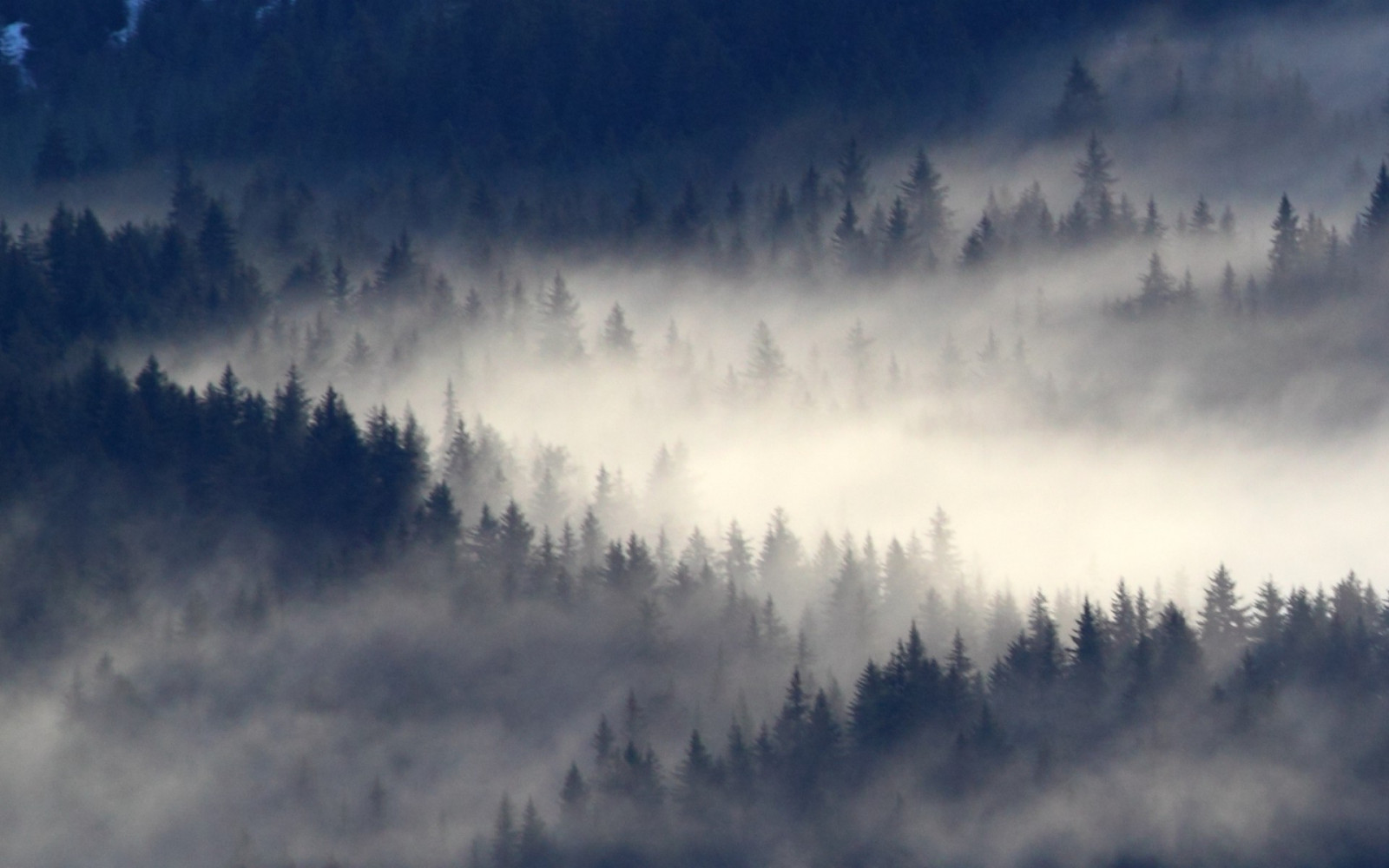slunečnímu záření, stromy, krajina, les, Příroda, nebe, sníh, zima, svítání, ráno, mlha, mráz, atmosféra, Aljaška, mrak, strom, mlha, hora, počasí, svítání, 1920x1200 px, atmosférický jev, dřevina, horských reliéf, pohoří, meteorologický jev