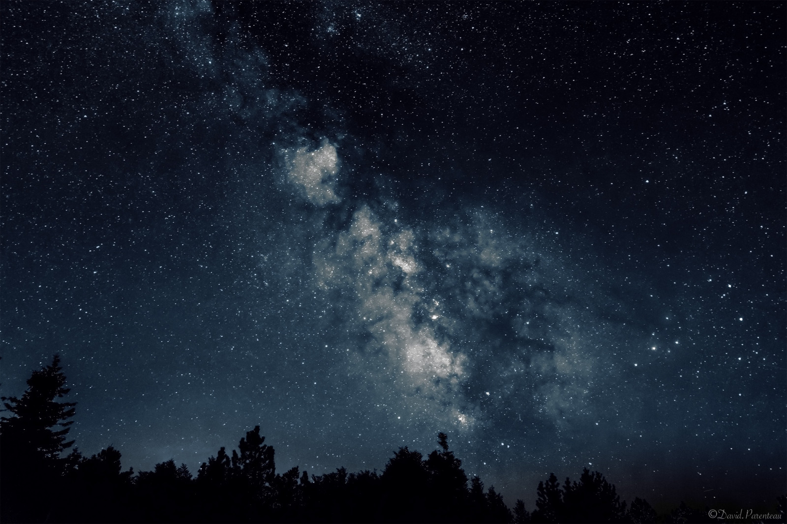 stromy, světla, 500px, noc, galaxie, Příroda, prostor, nebe, hvězdy, modrý, mléčná dráha, mlhovina, atmosféra, letní, Francie, Věda, spirální galaxie, vesmír, astronomie, půlnoc, světlo, longexposure, mrak, strom, cestovat, nightphotography, hvězda, mléčná dráha, tma, Cevennes, flickrunitedaward, nuit, astrophotography, půvabný, naturephotography, počítač tapeta, Atmosféra Země, vesmír, astronomický objekt, meteorologický jev, expozice, nebeská událost, jev, Languedoc-Roussillon