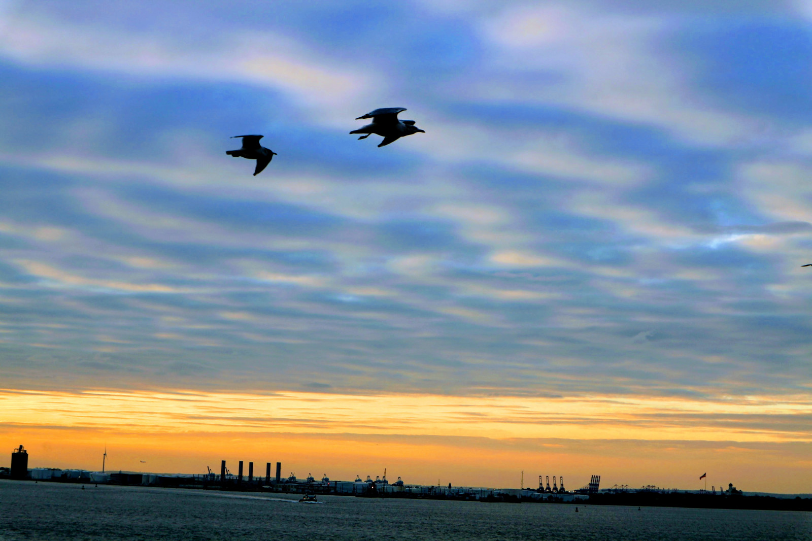 New York City, landskab