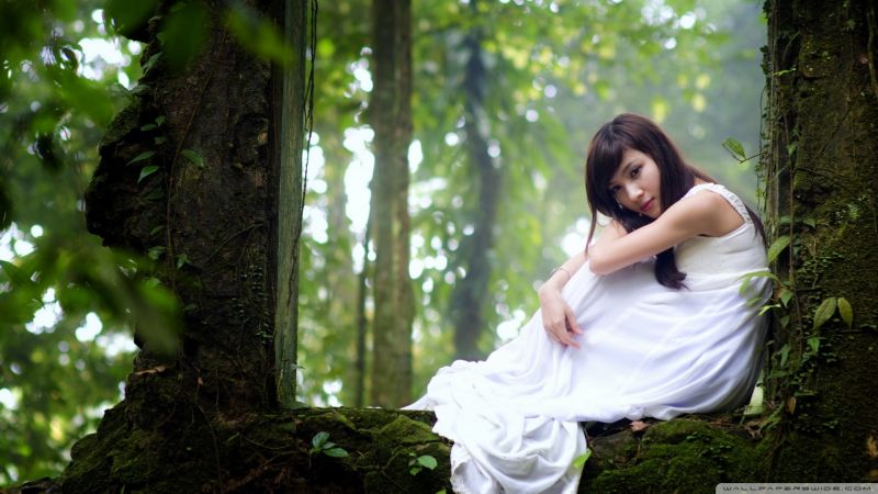 sinar matahari, hutan, wanita, model, alam, potret sinar matahari, hutan, wanita, model, alam, potret