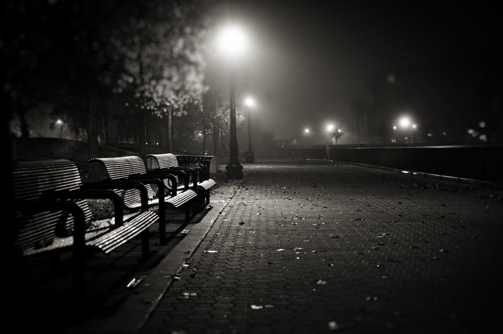 ถนน, เบา, ดำและขาว, สีขาว, ดำ, อิฐ, กลางคืน, ม้านั่ง, ที่นั่ง, เสา, ว่าง, นั่ง, nikond700, michaelbrookingphotography