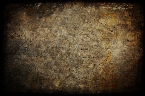 California,brown,Max,texture,dark,Nikon